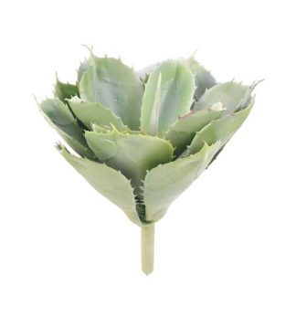 Bahne Interior - Aloe vera gren, grøn -  H: 20 cm. - Bahne Interior