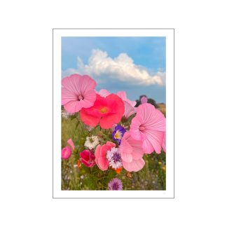 Poster & Frame - Poppykalas Sommerhus blomster plakat - A3 - Poster & Frame